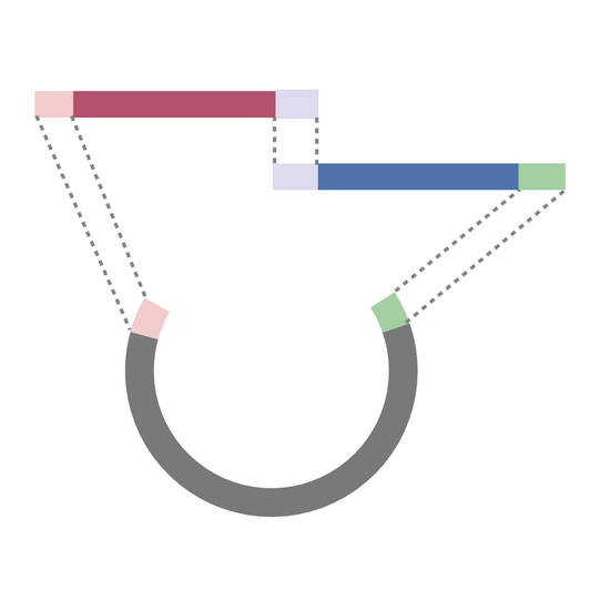 Plasmid Assembly