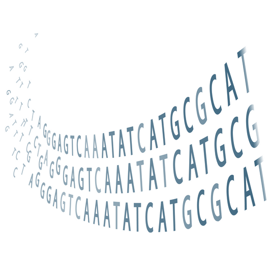 Whole Plasmid Sequencing